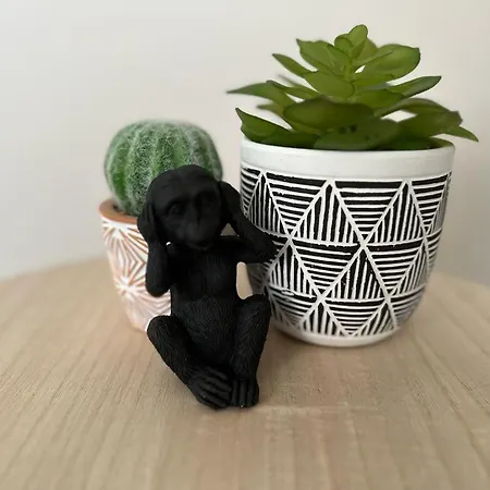 Lerelaisdodileqsl - - Hyper Centre - Free Wifi - Ideal Couple & Famille Apartamento *